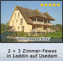 exklusive 5 Sterne Ferienwohnung mit Achterwasserblick in einer Reetdachsiedlung in Loddin auf Usedom