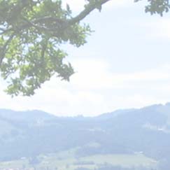 oberstaufen urlaub zu jeder jahreszeit im allgäu