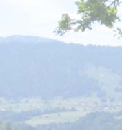 Ferienwohnungen Herrmann in Oberstaufen im Allgäu mit Oberstaufen Plus, DSL und Telefon, Oberstaufen-Plus
